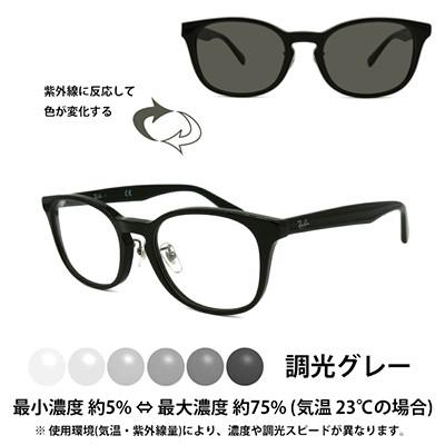 ふるさと納税 岸和田市 国産調光レンズ使用オリジナルレイバン色が変わるサングラス(RX5386D 2000)　グレーレンズ |  | 01