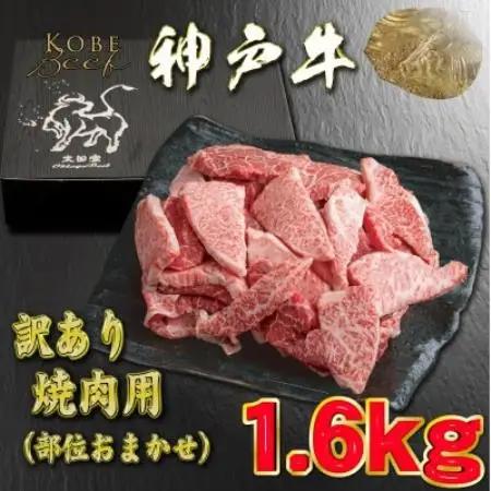 訳あり 神戸牛 焼肉用(部位おまかせ) 1.6kg YBY1-4【配送不可地域：離島】【1787585】