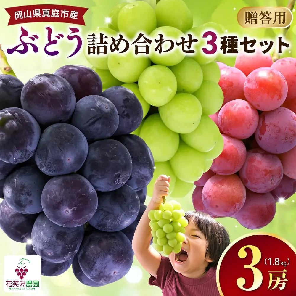 【2027年の先行予約】 花笑み農園 ぶどう『彩り３種セット』贈答用（1.8kg） 岡山 詰め合わせ 食べ比べ 真庭市 【hana084-02】