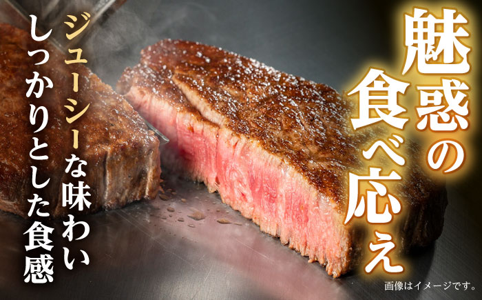 イチボ ステーキ 600g (150g×4枚) / 長崎和牛 牛肉 ステーキ A4～A5ランク 希少部位 / 諫早市 / 野中精肉店 [AHCW025]