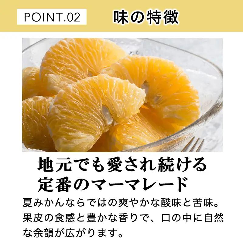 萩名産夏蜜柑／夏みかんマーマレード缶 12個セット