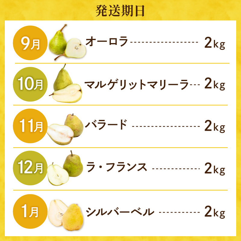 【2026年産 5回定期便】西洋梨食べ尽くし定期便 山形県 東根市 東根農産センター提供 hi027-201-r8_イメージ3