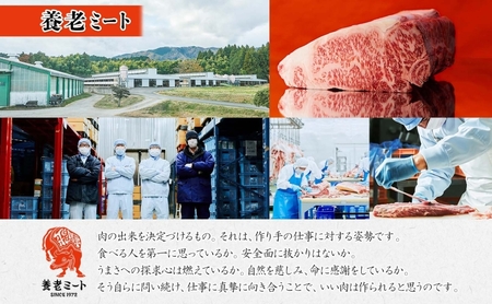 飛騨牛 モモ ブロック 和牛 飛騨牛【300g×1P 計300g】【冷凍】