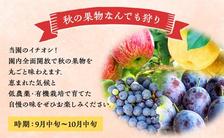 妹尾観光農園 フルーツ狩りチケット4000円 割引 チケット クーポン 利用券 フルーツ 旅行 体験 農園 北海道 仁木町 [フルーツショップ妹尾観光農園]