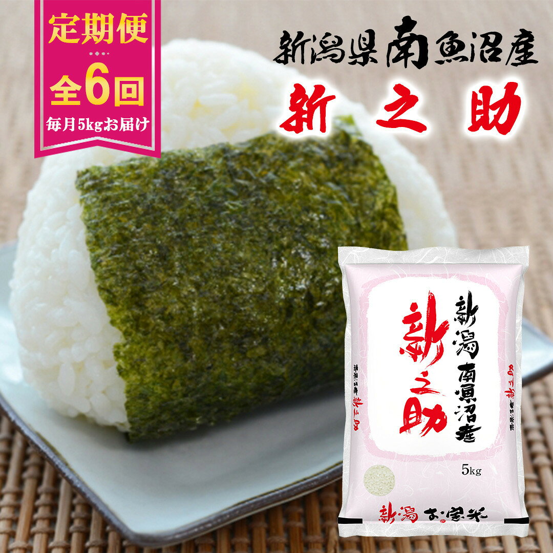 【ふるさと納税】【令和8年産新米予約】【C-6定期便】南魚沼産新之助5kg×6回【2026年11月中旬より1ヶ月以内に順次発送予定】 | お米 こめ 白米 食品 人気 おすすめ 送料無料 魚沼 南魚沼 南魚沼市 新潟県 精米 産直 産地直送 お取り寄せ お楽しみ