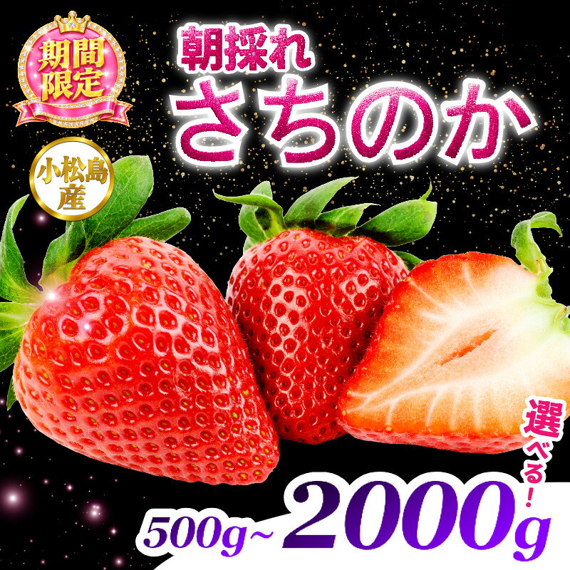 【ふるさと納税】 【2027年2月中旬順次発送】　さちのか いちご 500g~2kg 苺 イチゴ ストロベリー strawberry フルーツ 果物 旬 数量限定 期間限定 産地直送 ichigo 小松島市