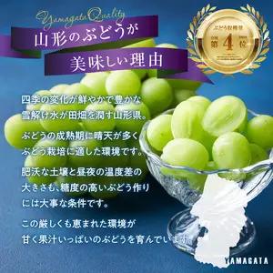 《先行受付》贈答規格シャインマスカット 約1.4kg（2～3房）【2026年9月中旬頃～順次発送予定】【山形ぶどう・大江町産・小林葡萄園】 024-003