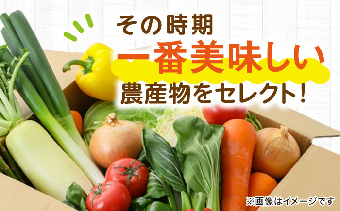 【全12回定期便】旬を味わう新鮮野菜と果物の詰め合わせセレクションボックス（8種以上）