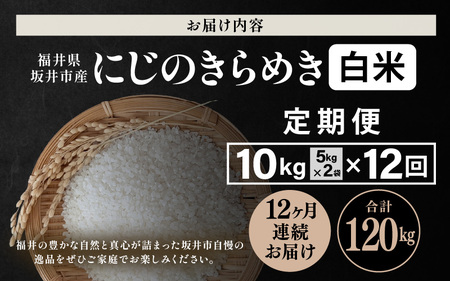 【先行予約】【令和8年産・新米】 定期便 ≪12ヶ月連続お届け≫ 坂井市産 にじのきらめき 白米 10kg (5kg×2袋)×12回 計120kg (田中農園) 【2026年10月以降順次発送予定】 