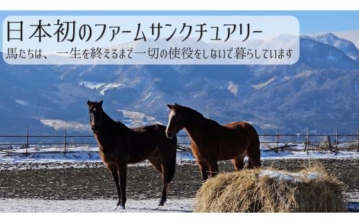 【返礼品なし】 南阿蘇で暮らす余生馬たちへ想いを届ける／日本初のアニマルサンクチュアリー＜10,000,000円＞