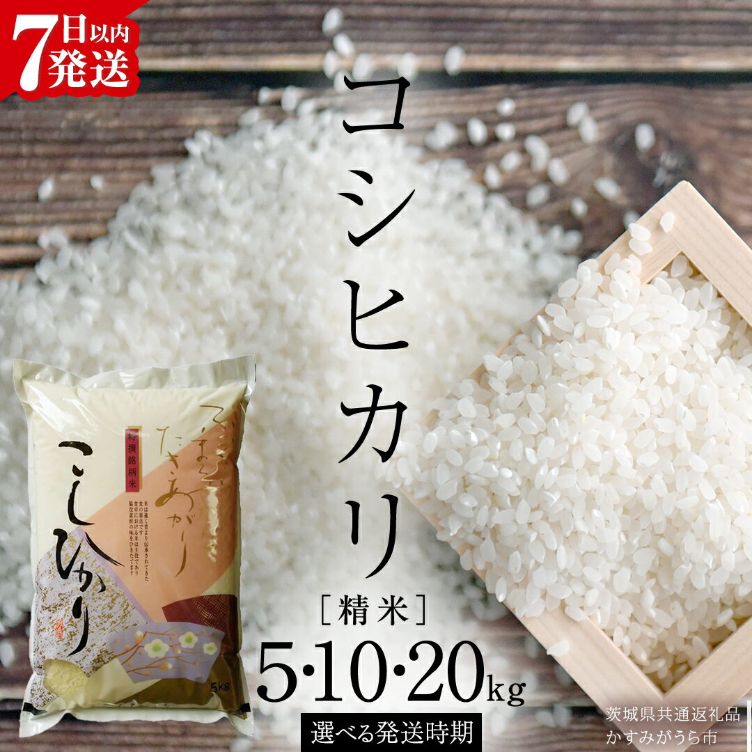 【ふるさと納税】《 7営業日以内出荷 》《 令和7年産 》 コシヒカリ 精米 5kg ～ 20kg ( 選べる 内容量・定期便・発送時期 ) (茨城県共通返礼品 かすみがうら市) スピード発送 早い 新米 米 ごはん もっちり 甘い コメ お米 白米 銘柄米