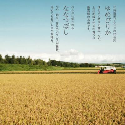 ふるさと納税 美瑛町 【先行予約 令和8年】 米 定期便 ななつぼし ゆめぴりか 各2kg 6回 皇室献上米 特A お米 |  | 01