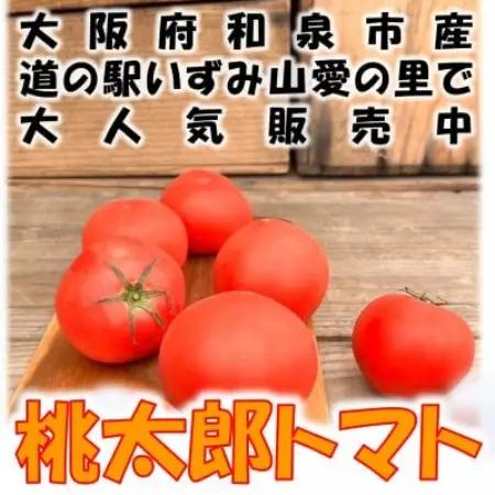 桃太郎トマト 約1kg(5～6玉) 大阪府　和泉市　道の駅いずみ山愛の里【配送不可地域：離島】【1525132】