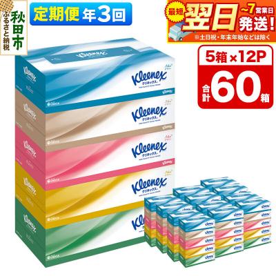 ふるさと納税 秋田市 《3回定期便》クリネックス ティシュー 60箱 ティッシュ|15_nsc-031203 | 