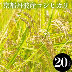 米 20kg（5kg×4袋）京都丹波産 コシヒカリ 白米