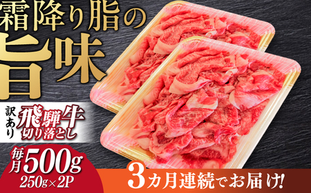 【3回定期便】 飛騨牛切り落とし500g 飛騨牛 切り落とし 定期便[ANBE014]