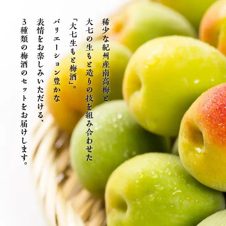 《2026年11月下旬以降順次発送》大七酒造 梅酒飲み比べセット「生もと梅酒 極上品720ml」「生もと梅酒300ml」「生もと梅酒シルキースパークリング300ml」合計3本【道の駅「安達」智恵子の里
