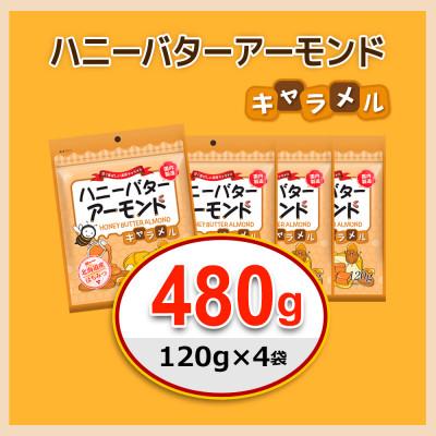 ふるさと納税 安中市 ハニーバターアーモンドキャラメル 480g(120g×4袋) |  | 02