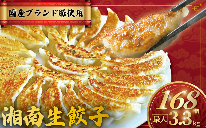 
            餃子 ぎょうざ 168個 (42個 × 4 パック) 肉汁たっぷり 大きい 国産 ブランド豚 ルイビ豚 小分け 豚肉 牛肉 野菜 湘南餃子 湘南ぎょうざ 焼き餃子 gyoza ギョーザ 冷凍餃子 生餃子 冷凍 ご飯 おかず 冷凍食品 中華 おつまみ 簡単調理 時短 簡易包装 手作り餃子 サノフーズ 神奈川 湘南 藤沢
          