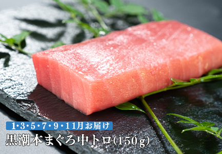 【定期便6回】日本一!黒潮本まぐろ 中トロ