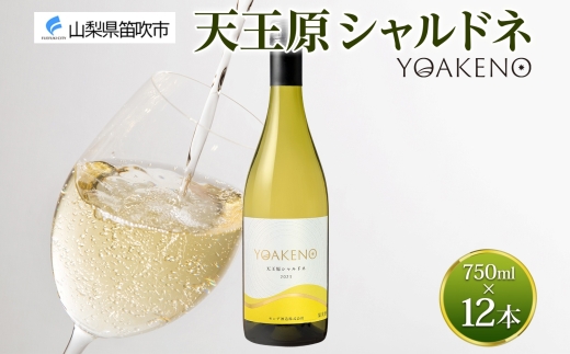 YOAKENO 天王原シャルドネ 750ml×12本177-4-081 |天王原シャルドネ 白ワイン 12本天王原シャルドネ 白ワイン 12本天王原シャルドネ 白ワイン 12本天王原シャルドネ 白ワイン 12本天王原シャルドネ 白ワイン 12本|