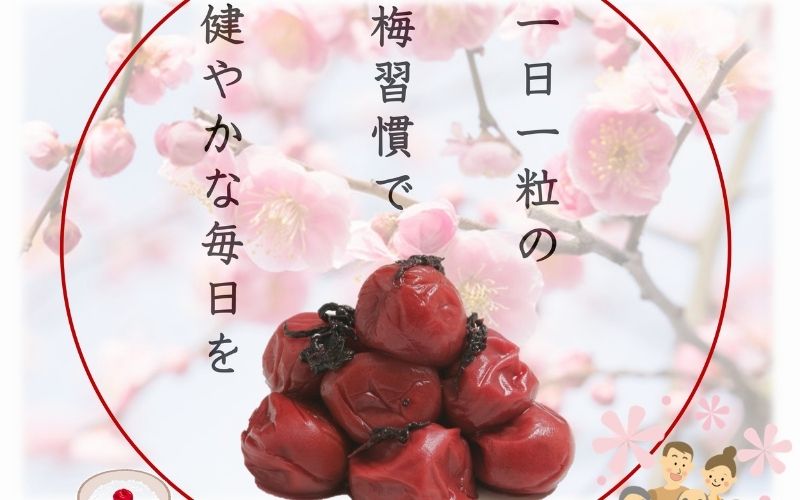 ご家庭用 大容量 紀州南高梅 しそ漬 つぶれ 塩分約15％ 700g×2  yamada006A