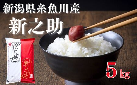【令和6年産新米予約】新之助 5kg 早川の清流が育んだ美味しいお米 新潟県糸魚川産 2024年磯貝農場【しんのすけ 米 お米 こめ ご飯 ライス ふるさと納税米 食品 人気 おすすめ お弁当 おにぎ