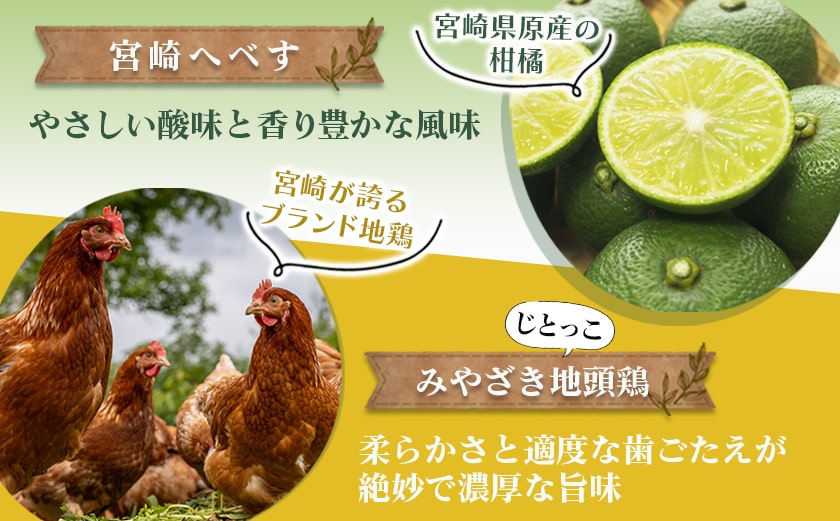 宮崎へべすとみやざき地頭鶏の濃厚クリーミーカレー2パック※ポスト投函_LA-1507