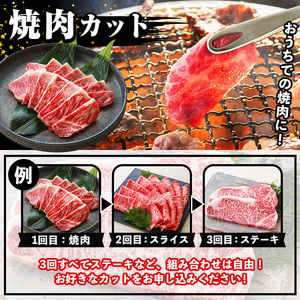 【3か月定期便】カットを選べる！鹿児島県産 黒毛和牛 サーロイン 半頭分 9kg（3kg×3回)  A4等級以上 ！ステーキ カット スライス カット 焼肉 カット から選べます！ 冷凍 国産 鹿児島