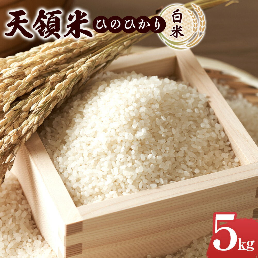 【ふるさと納税】天領米（ひのひかり：白米） 5kg | お取り寄せグルメ 取り寄せ グルメ 米 こめ コメ お米 ひのひかり 白米 精米 5キロ おこめ 美味しい米 湯布院 由布院 ゆふいん