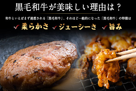 黒毛和牛漬け込みホルモン・ハンバーグセット 計14袋 有限会社トップルーフ 黒毛和牛