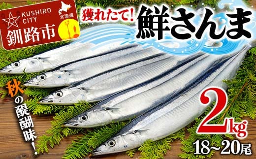 獲れたて鮮さんま 2kg (18～20尾) さんま 秋刀魚 サンマ 新鮮 魚 鮮魚 海産物 旬 北海道 釧路 F4F-3229