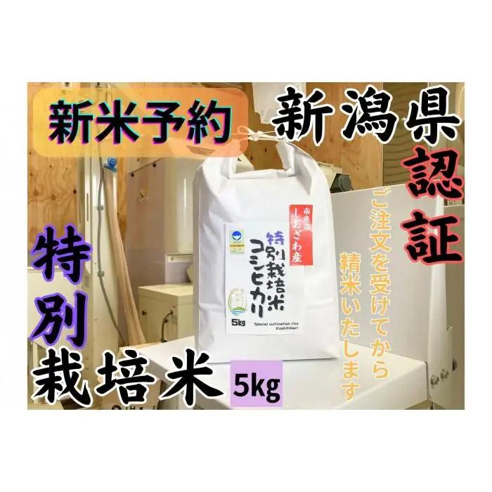 【令和8年・新米予約】安心安全の新潟県南魚沼産特別栽培米コシヒカリ　5kg　新潟県認証【2026年10月上旬より1ヶ月以内に順次発送予定】｜コシヒカリ