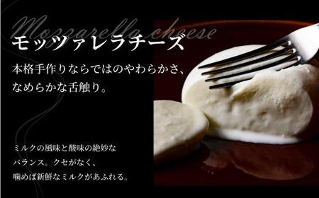 モッツァレラ3個（1個125g） &  リコッタ 1個（100g）セット　チーズ モッツァレラ リコッタチーズ 冷蔵  個包装 カプレーゼ パスタ ピザ   前菜 サラダ 新鮮 生乳 国産 低温殺菌 