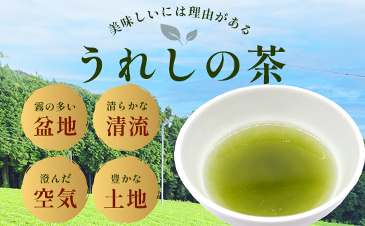 特上うれしの茶　100g　A-182