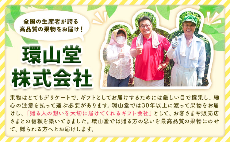 【2026年先行予約】秋の ニューピオーネ 1房 約600g 環山堂株式会社《2026年8月下旬-9月下旬頃出荷》岡山県 浅口市 ぶどう 葡萄 ピオーネ フルーツ 果物 送料無料