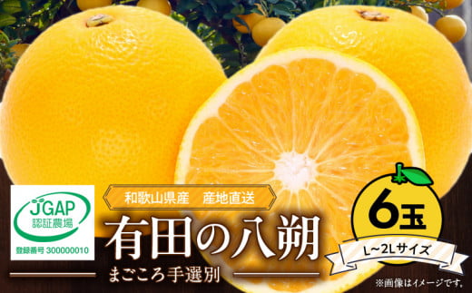 ZE6306n_有田の八朔 (はっさく) 1.5kg　6玉（L～2Lサイズ）まごころ手選別