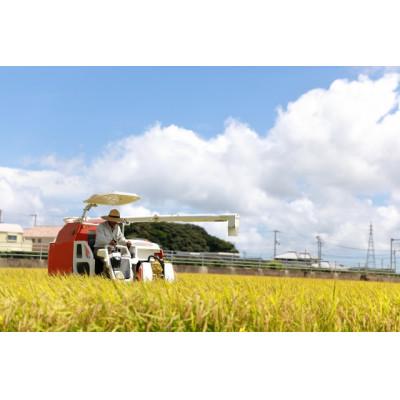 ふるさと納税 最上町 【令和7年産先行受付】山形県産特別栽培米　つや姫10kg(無洗米) |  | 01