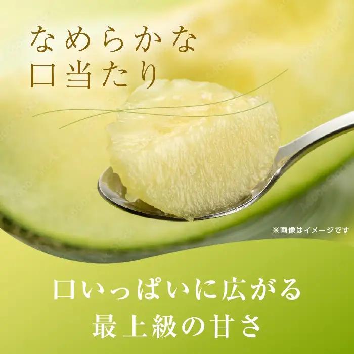 【優品】イバラキング（青肉メロン） 2玉入 青肉品種 青肉メロン！ ／ イバラキング 果物 フルーツ ギフト 農家直送 ths014_X1