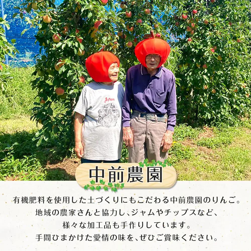 ≪10月中旬以降発送≫りんご 国産 3kg 農家直送 中前農園 芸北りんご 林檎 シナノスイート ぐんま名月 ジョナゴールド ふじ_NA099_001