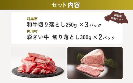 【牛肉】 切り落としお肉セット | 牛肉 切り落とし