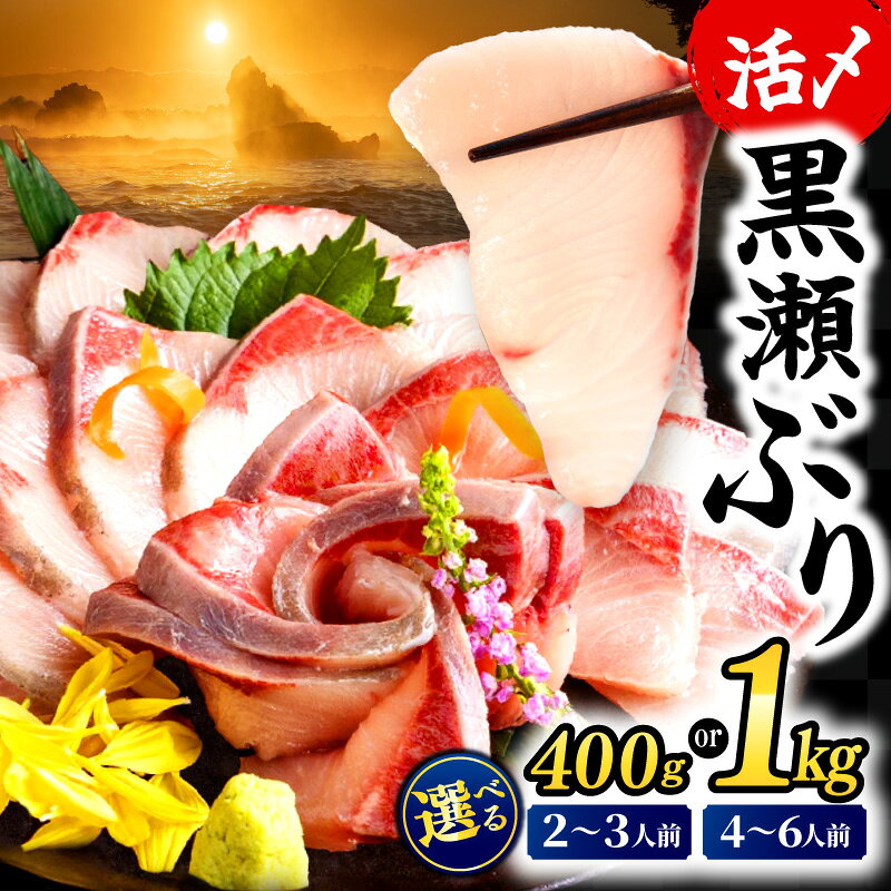 【ふるさと納税】高評価★4.86 冷蔵 活じめ！黒瀬ぶりの生鮮ブリロイン 2節~3節 400g 1kg 刺身 海鮮 海産物 魚 水産物 海鮮丼 年末 配送 年内 ぶりしゃぶ 生食 しゃぶしゃぶ 国産 ブリ 贈答用 ふるさと お刺身 食品 鮮魚 ランキング 人気 宮崎県 串間市