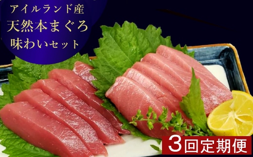 tk028【 定期便 全３回 隔月 お届け 】まぐろの王様！天然本まぐろ味わいセット