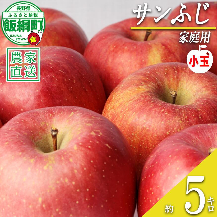 【ふるさと納税】 りんご サンふじ ( 小玉 ) 家庭用 5kg 中村ファーム 沖縄県への配送不可 令和8年度収穫分 長野県 飯綱町 〔 信州 果物 フルーツ リンゴ 林檎 長野 13000円 予約 農家直送 〕発送時期：2026年11月下旬〜2027年3月上旬