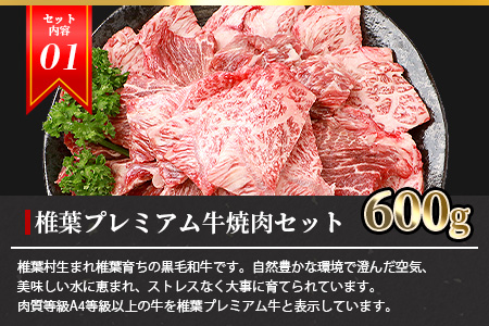 総重量2.1kg！【3種の牛肉】焼肉食べ比べセット【椎葉牛・椎葉プレミアム牛・宮崎県産和牛】
