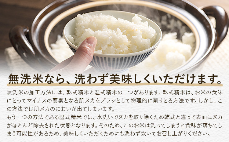 無洗米 米 使い切り パック メール便 4合 (600g) 晴れの国おかやま無洗米《30日以内に出荷予定(土日祝除く)》岡山県 笠岡市 送料無料 岡山県産 米 ふるさと納税 わけあり 以上のお米ならこ