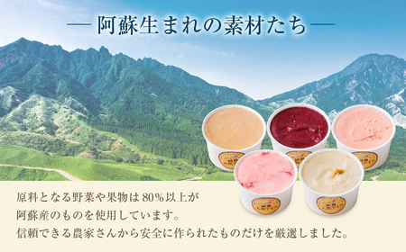 阿蘇天然アイス 18個セット（生キャラメルチョコ・ブルーベリー・抹茶・いちご・マンゴー・ミルク）6種×3個 計18個 ジェラート 阿蘇市 
