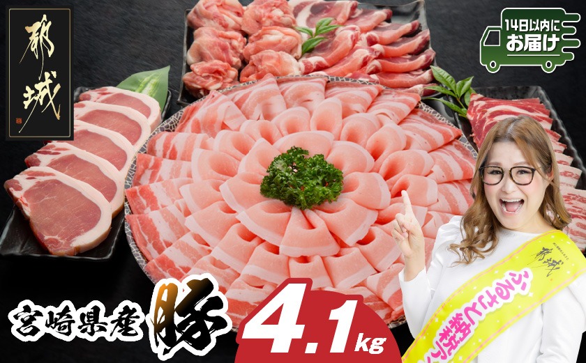 宮崎県産豚わくわく4.1kgセット(真空)≪みやこんじょ快速便≫_AC-84-002-4100g-R