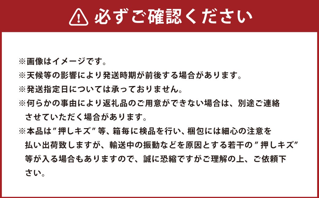 岡山県産白桃 4～6玉 約1.2kg