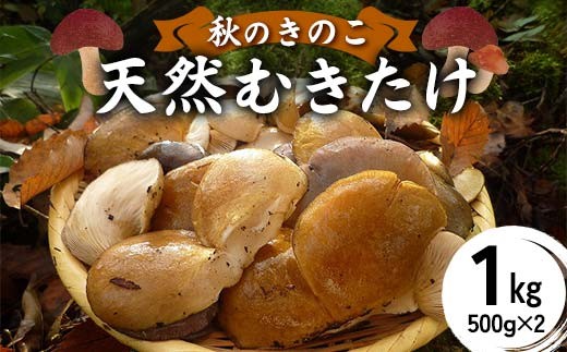 ＜2026年10月中旬より発送＞秋のきのこ 天然むきたけ 1kg（500g×2袋） F2Y-6171